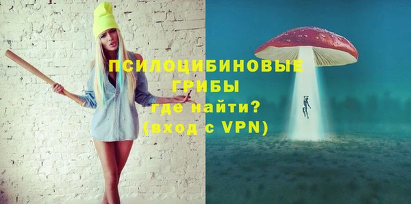 бошки Шадринск